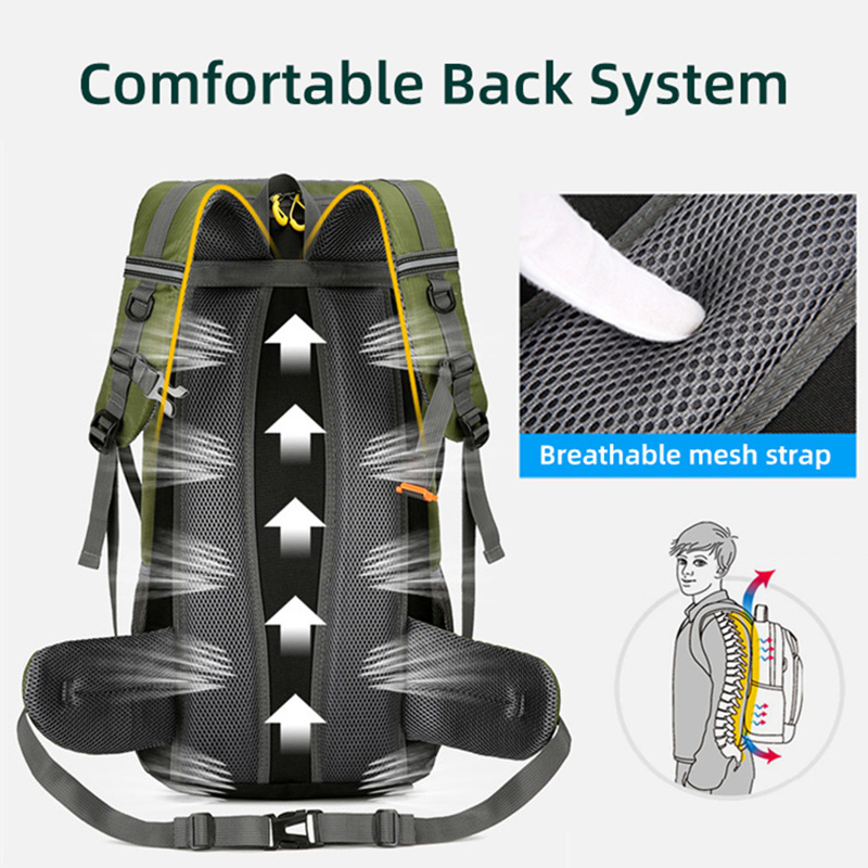 50L Travel Backpack Camping Me - مراجعة Outdoor Camping Warehouse وسعره
