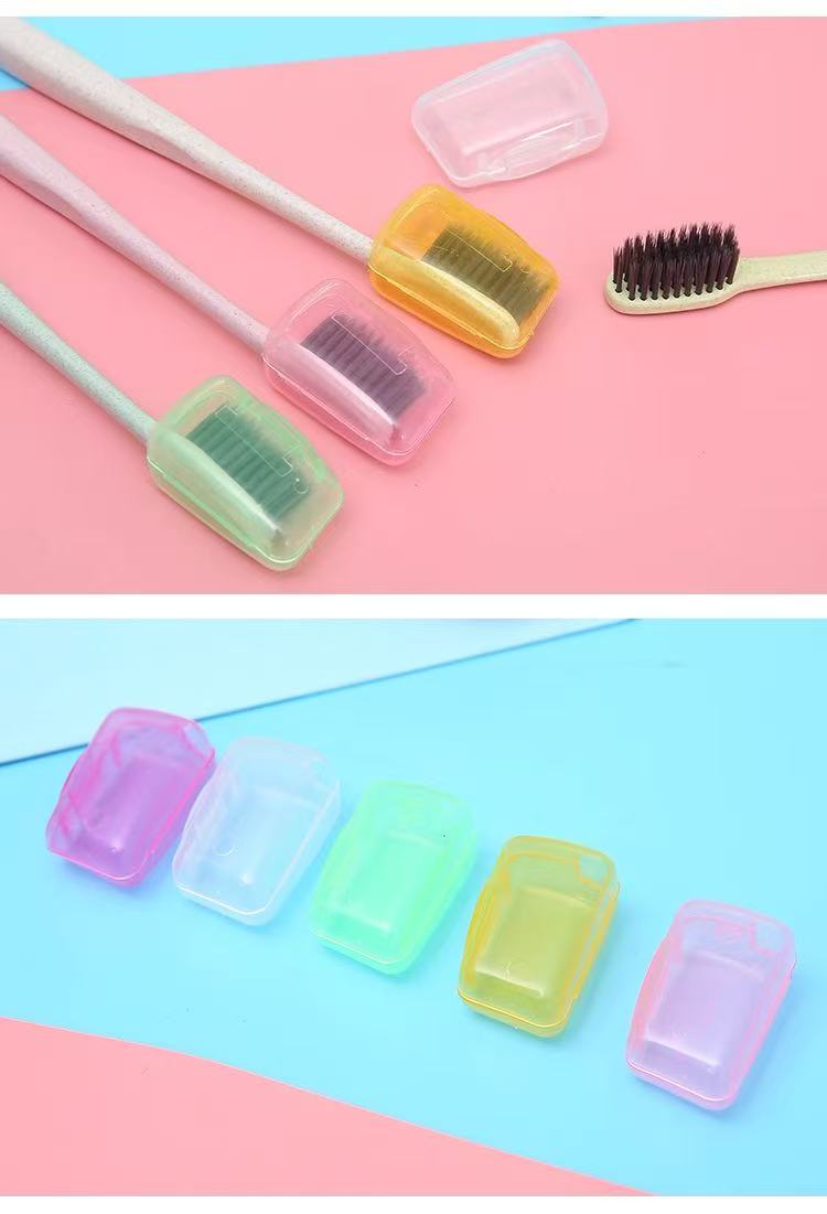 5pcs Portable Toothbrush Head  - مراجعة Outdoor Camping Bathroom وسعره