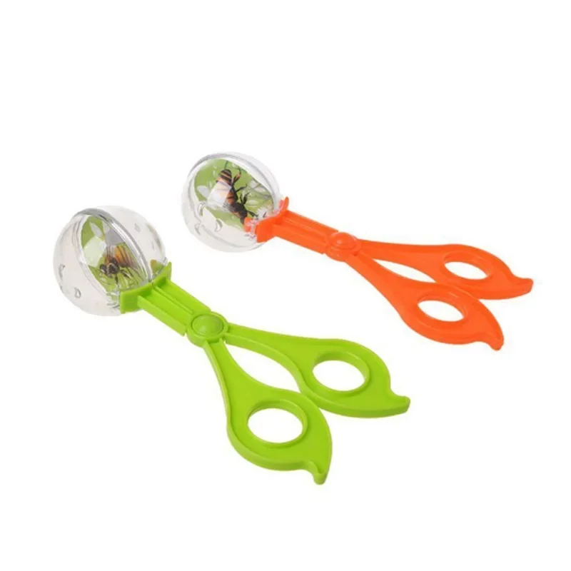 Educational Bug Catcher Scisso - مراجعة Outdoor Camping Activities For Kids وسعره