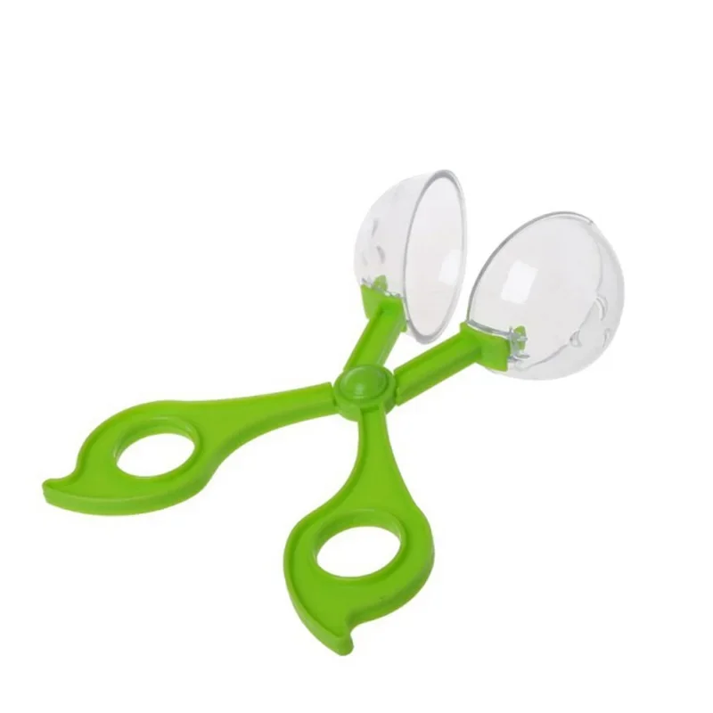 Educational Bug Catcher Scisso - مراجعة Outdoor Camping Activities For Kids وسعره